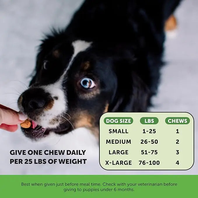 OEM/ODM Natural Probiotic Soft Chews Pet Food and Supplement Dog Treats Snacks Suppliers for Pet Gut Health