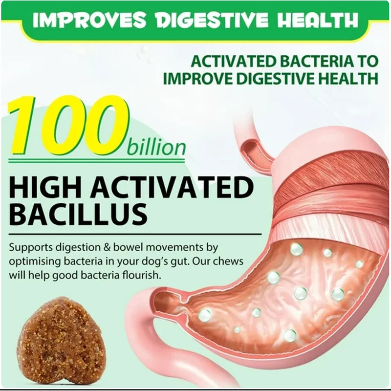 OEM/ODM Natural Probiotic Soft Chews Pet Food and Supplement Dog Treats Snacks Suppliers for Pet Gut Health