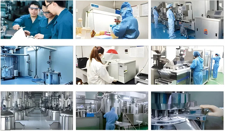 OEM/ODM Natural Probiotic Soft Chews Pet Food and Supplement Dog Treats Snacks Suppliers for Pet Gut Health