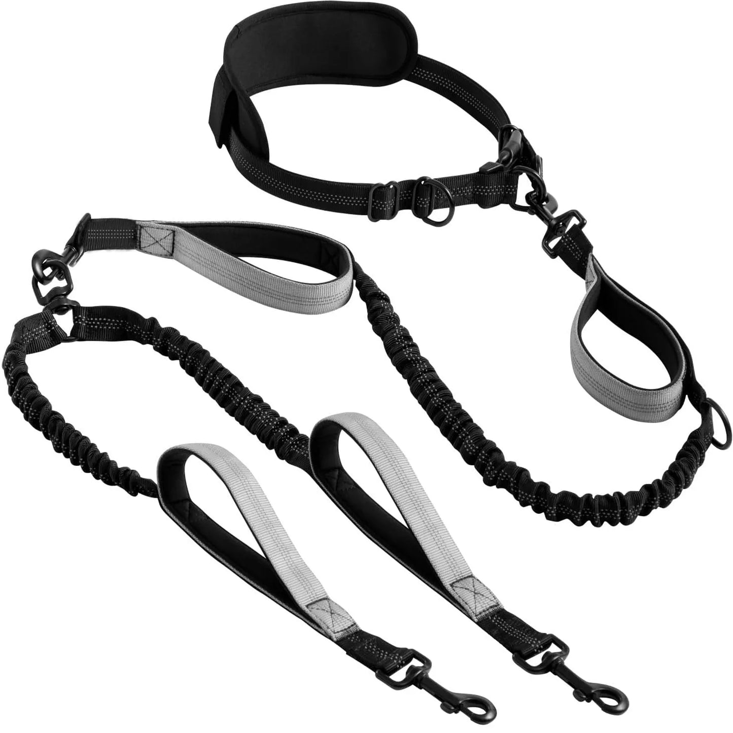 Hands Free Double Dog Leash – Dual Leash for Medium and Large Breeds – Lead for 2 Dogs with Padded Handles,Reflective Stitches