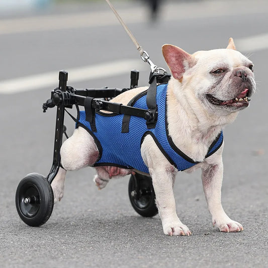 Pet Trolley Pet Wheelchair Adjustable Hind Leg Disabled Pet Dog Mobility Aid Light Rehabilitation Legs  Walk Trolley Tools
