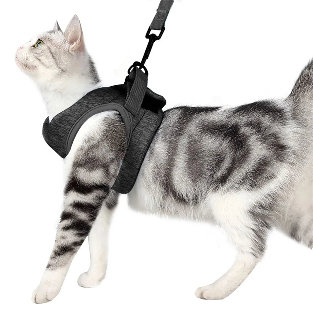 Adjustable Rope Durable Professional Escape-proof Small Belt Kitten Breathable Soft Chest Strap Elastic Pet Wiring Sky