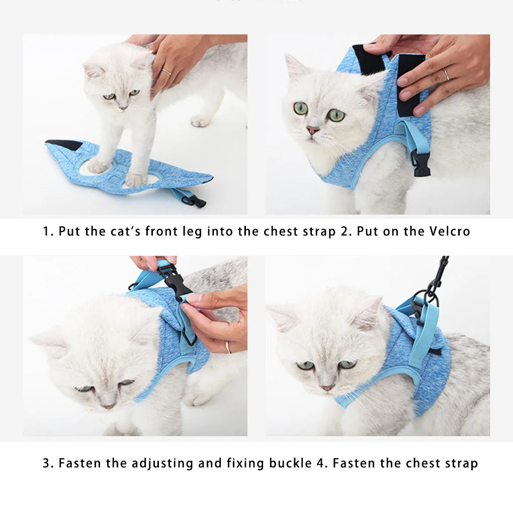 Adjustable Rope Durable Professional Escape-proof Small Belt Kitten Breathable Soft Chest Strap Elastic Pet Wiring Sky